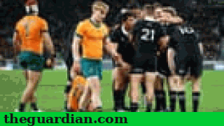 bledisloe_cup