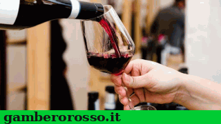 notizie_vino