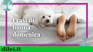 frasi_e_aforismi