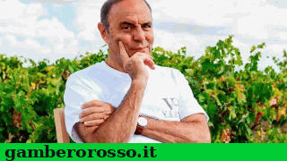 notizie_vino