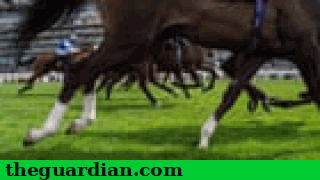 horse_racing