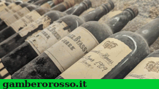 notizie_vino