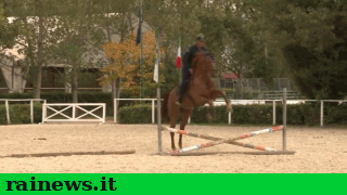 equitazione