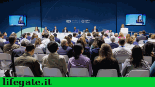 cambiamenti_climatici