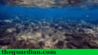 great_barrier_reef