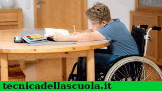 disabilite#224;