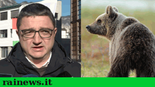 animali_selvatici