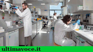 ricerca_e_sviluppo