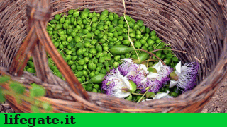 alimentazione_naturale