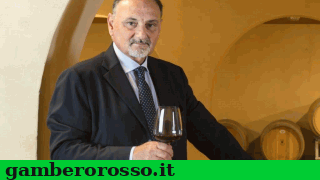 notizie_vino