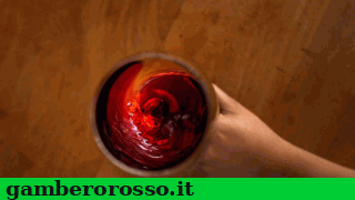 notizie_vino