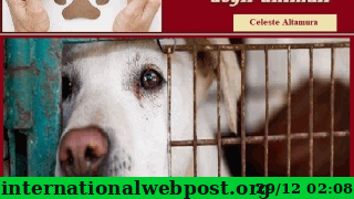 benessere_e_tutela_degli_animali