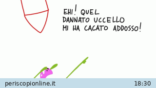 il_quotidiano