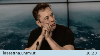 musk_2025